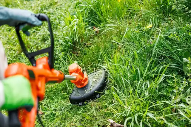 A-1 Vegetation Management
