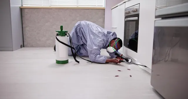 A Plus Rapid Pest Control, LLC