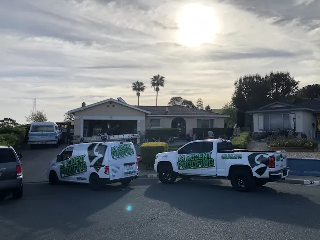 A1 Rodent Proofing and Pest Control