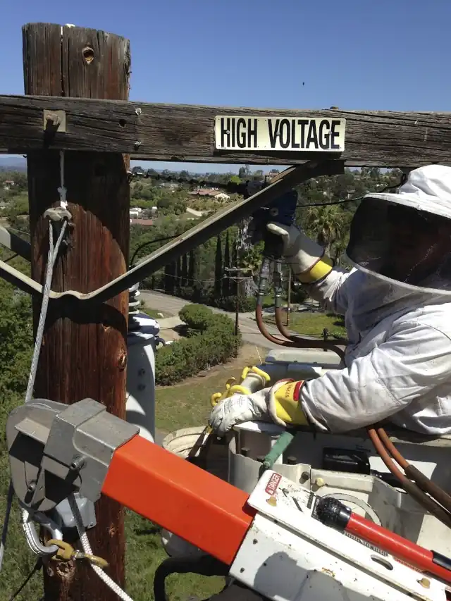 AA-Beekeeper