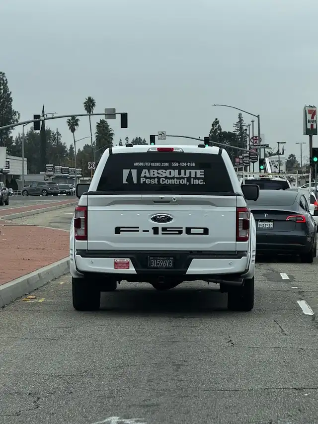 Absolute Pest Control