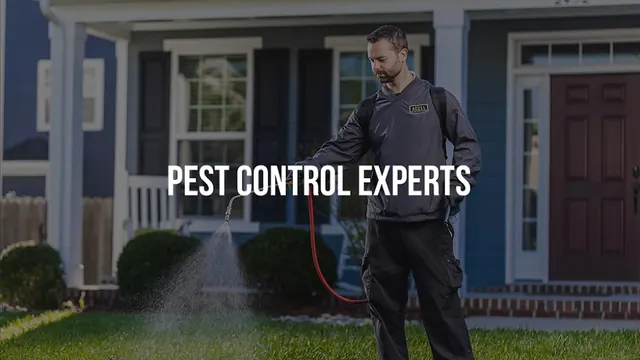 Accel Pest & Termite Control