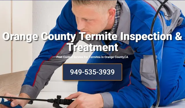 Affordable Termite Control