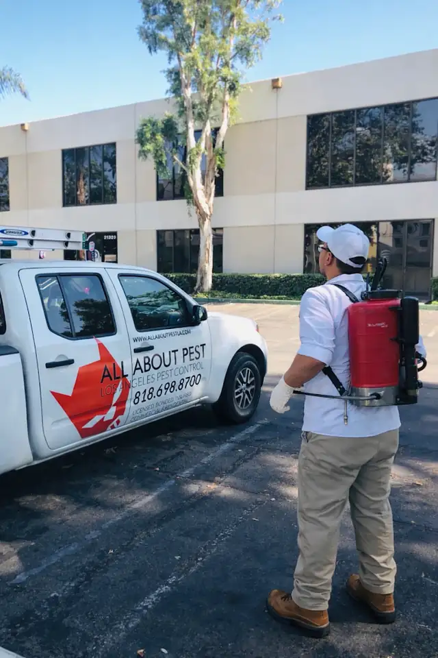 All About Pest Control & Termite