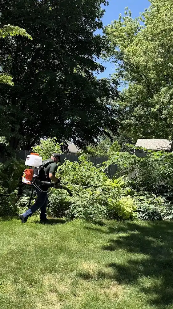 All Services Pest Control LLC