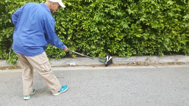 ALL STAR ANIMAL TRAPPING