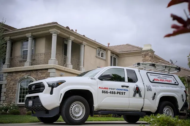 Allied Termite & Pest Control