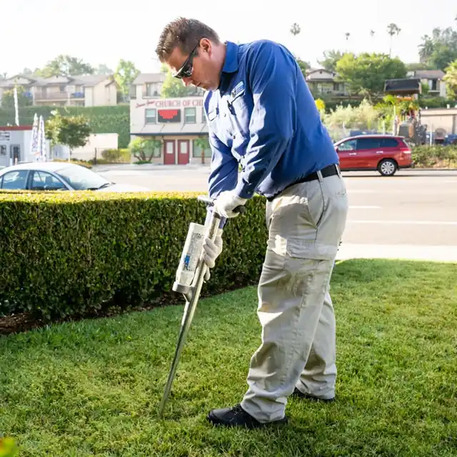 American Pest Control