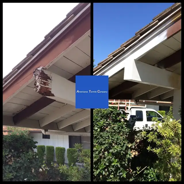 Americana Termite Company