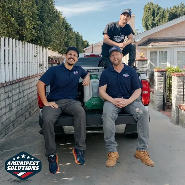 Ameripest Solutions