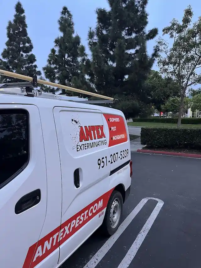 Antex Exterminating