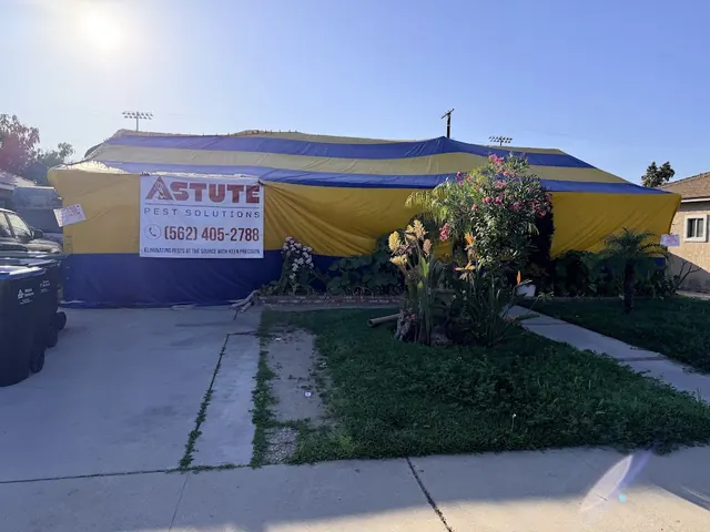 Astute Pest Solutions