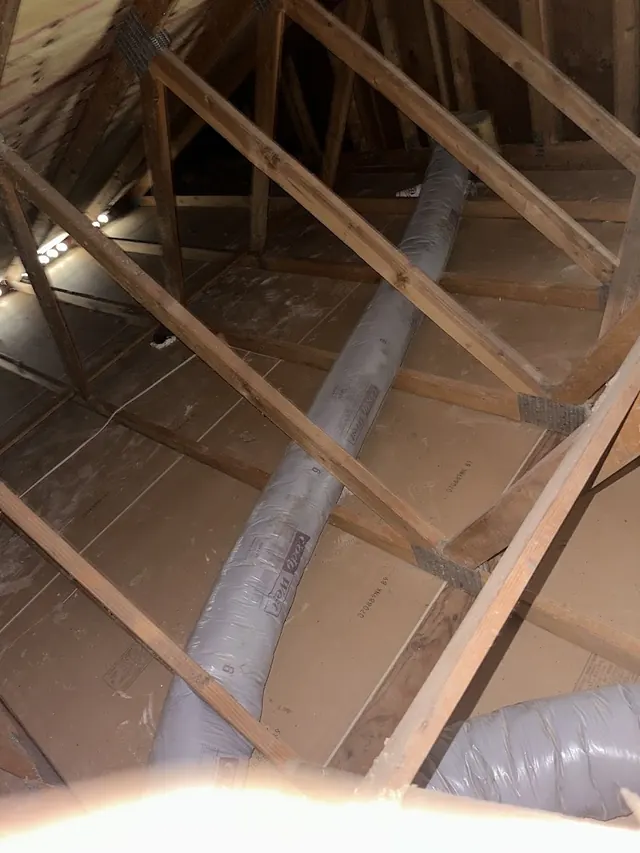 Attic Total Cleaning & Proofing