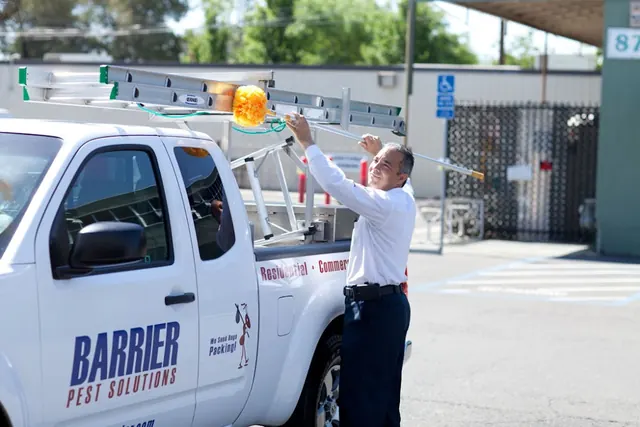 Barrier Pest Solutions