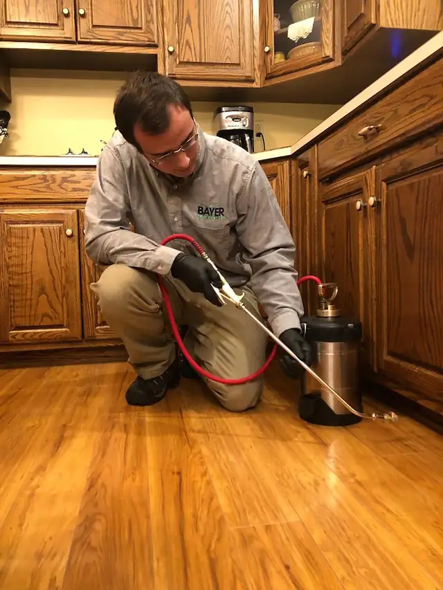 Bayer Pest Control