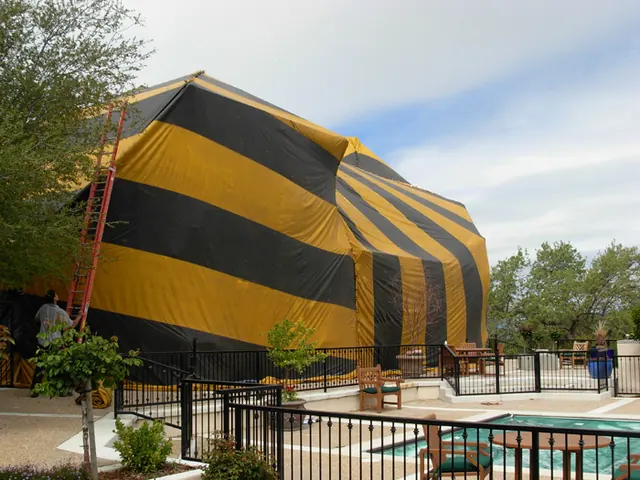 Best Care Fumigation NorCal Inc