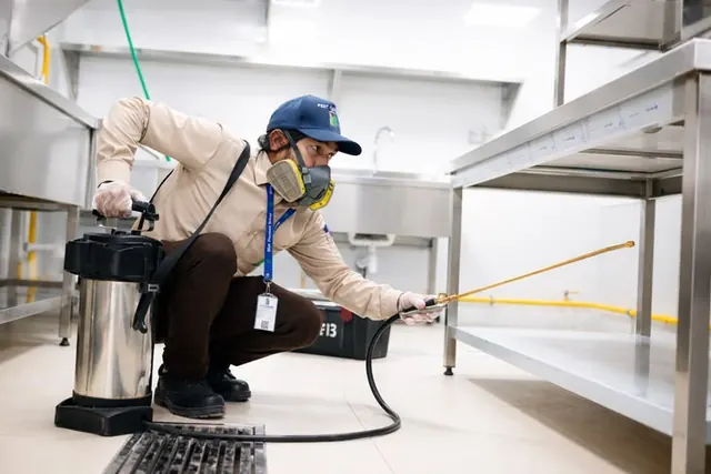 Best Pest Control Strathmore