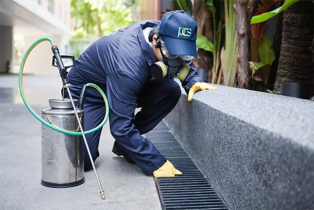 Best Price Pest Control