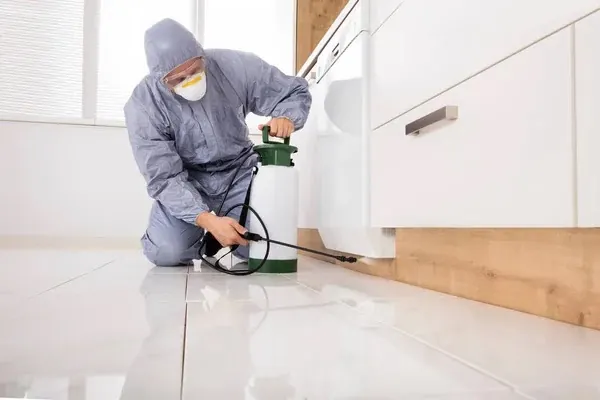 BestShield Pest Control Stockton