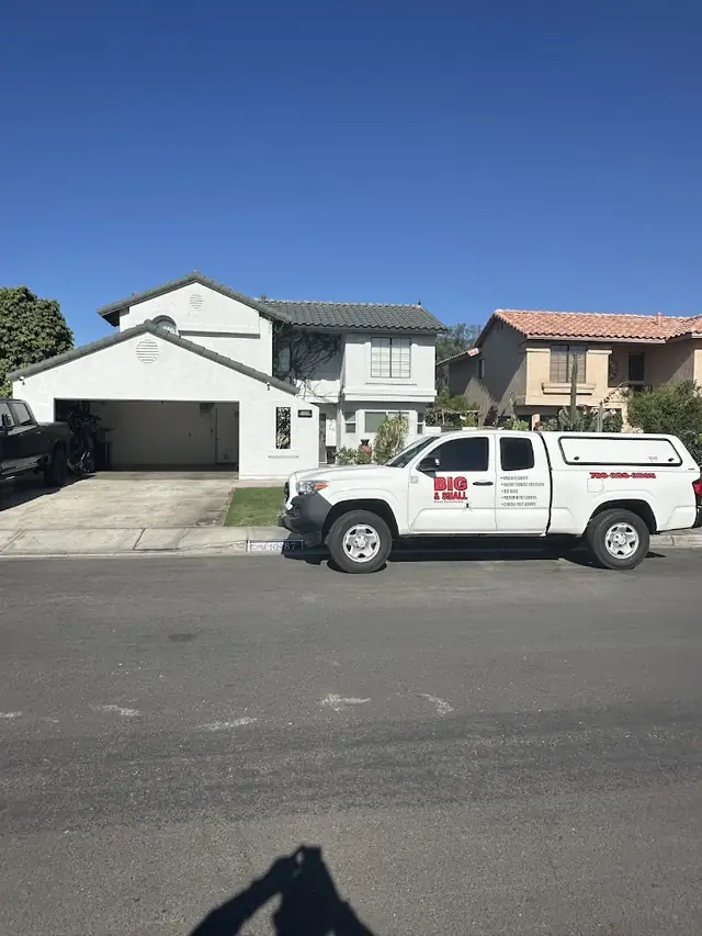 Big & Small Pest Solutions