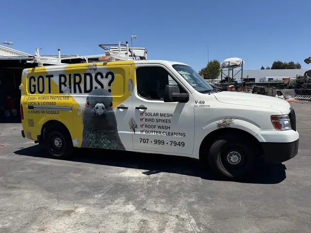 Bird Proof