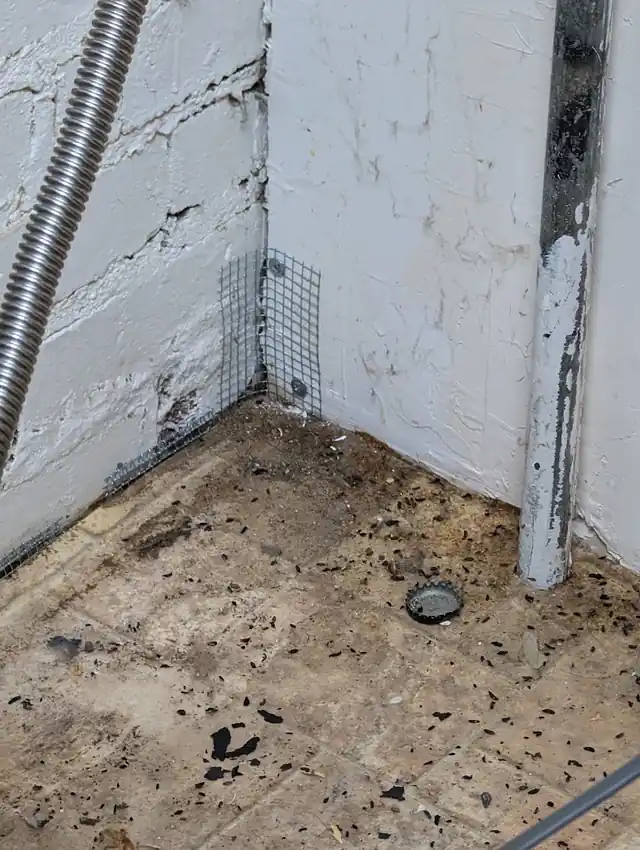 Blackburn Pest Solution