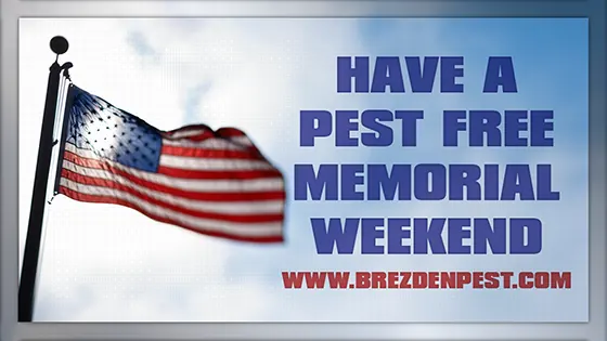 Brezden Pest Control