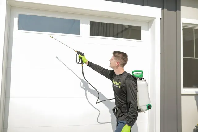 Brilliant Pest Solutions