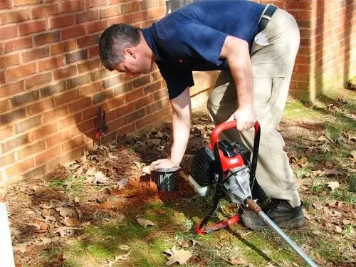 Budget pest control