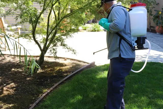 BugMaster Pest Control
