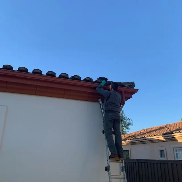 Bugs 2 Rest Pest Control