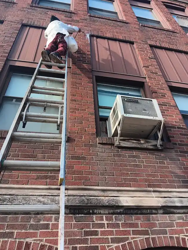 BUSY BEE EXTERMINATING