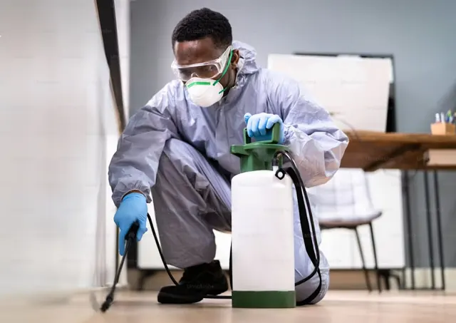 CA Pest Control Inglewood