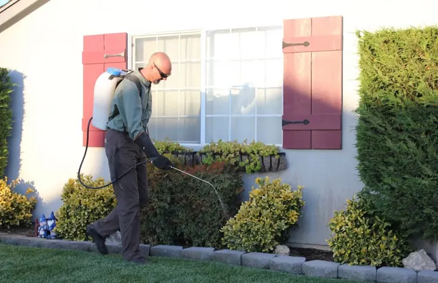 CA Pest Control Los Angeles