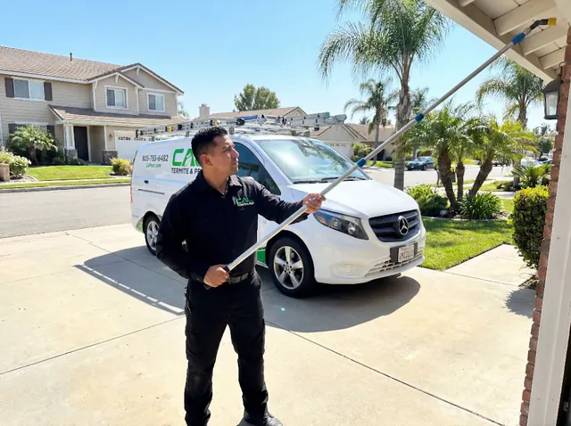 Cal Termite & Pest Control
