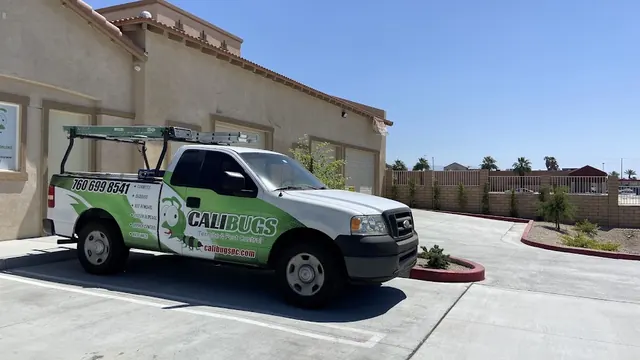 Calibugs Termite & Pest Control