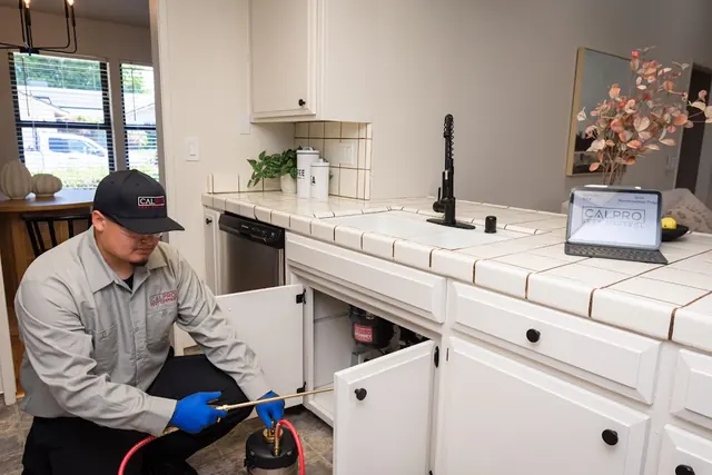 CalPro Pest Control