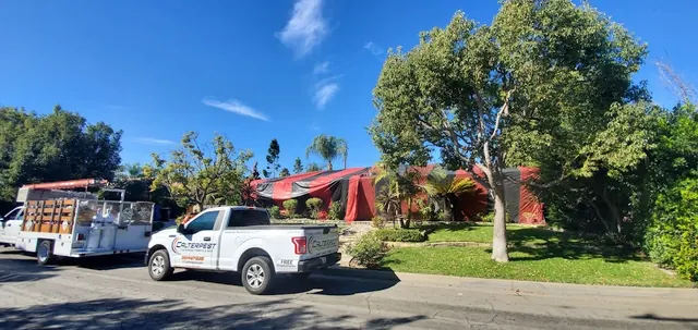Calterpest Termite & Pest Solutions