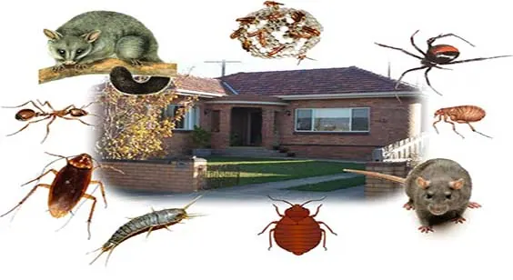 Central Exterminator Co