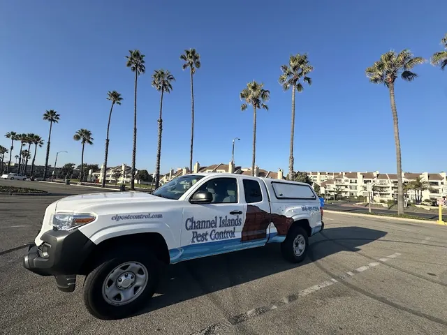 Channel Islands Pest Control