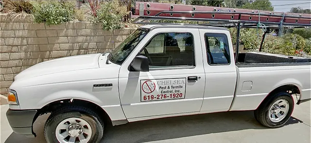 Chelsea Pest and Termite Control