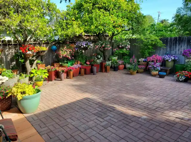 Chico Creek Gardening