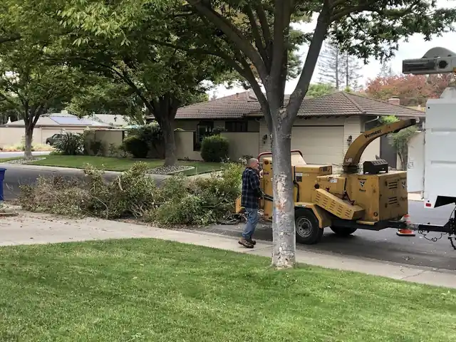 Clark's Tree Works