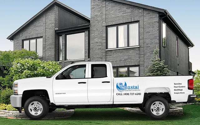 Coastal Termite and Pest Control