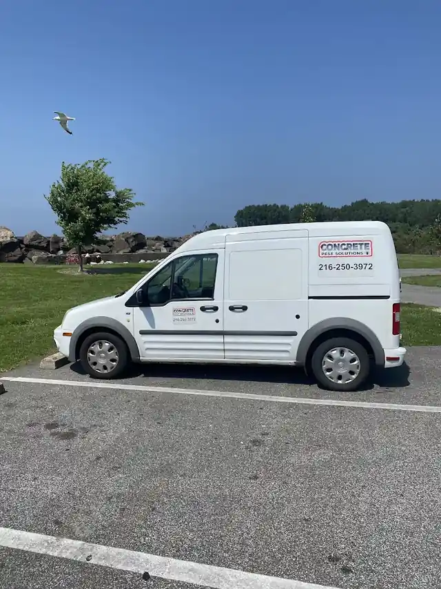 Concrete Pest Solutions