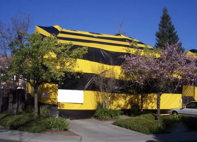Contra Costa Termite Control