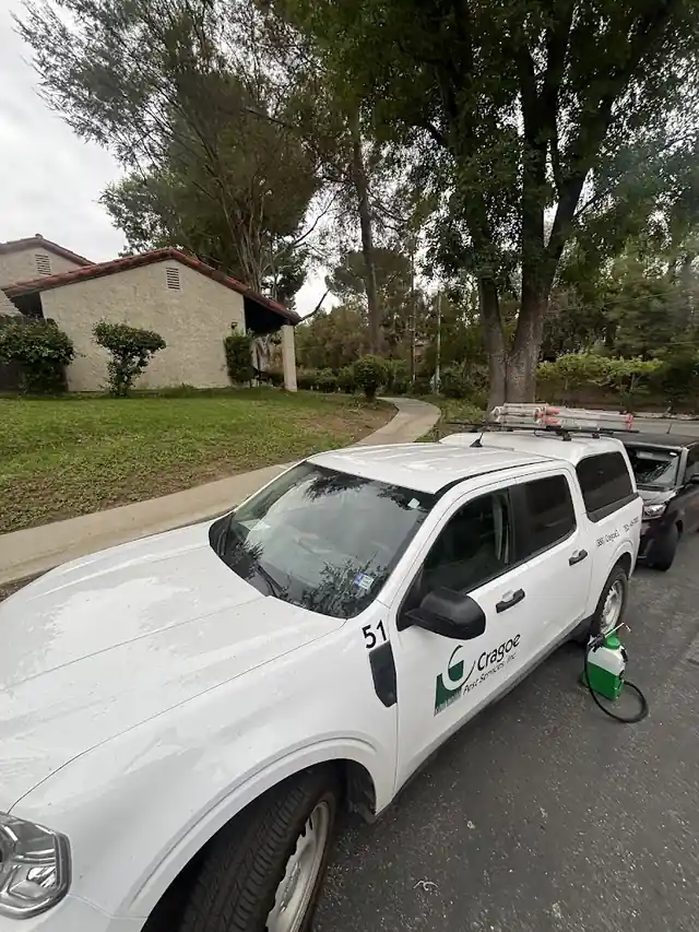 Cragoe Pest Services, Inc.