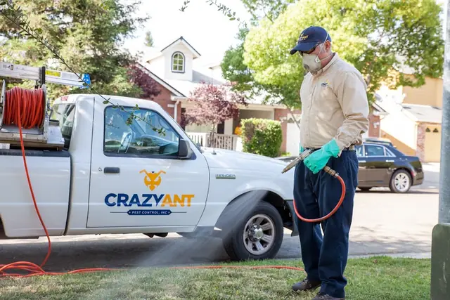 Crazy Ant Pest Control