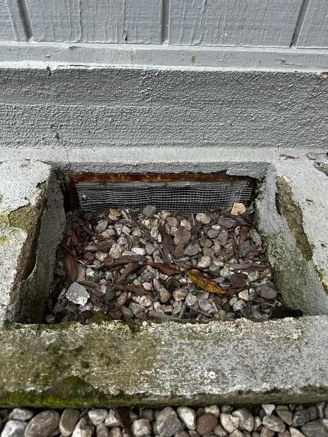 Crosstown Pest Solutions