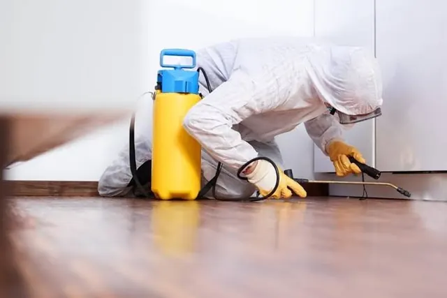 Crystal Harbor Pest Control